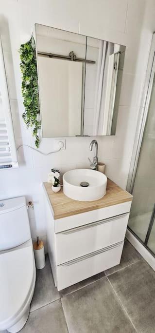 New #Boheme Chic# Pied De La Cite #2 Lejlighed Carcassonne Eksteriør billede