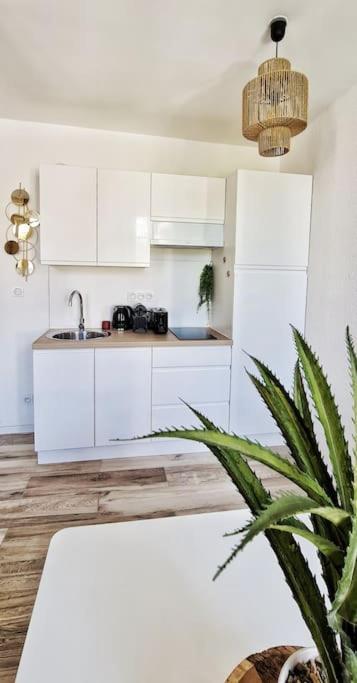 New #Boheme Chic# Pied De La Cite #2 Lejlighed Carcassonne Eksteriør billede